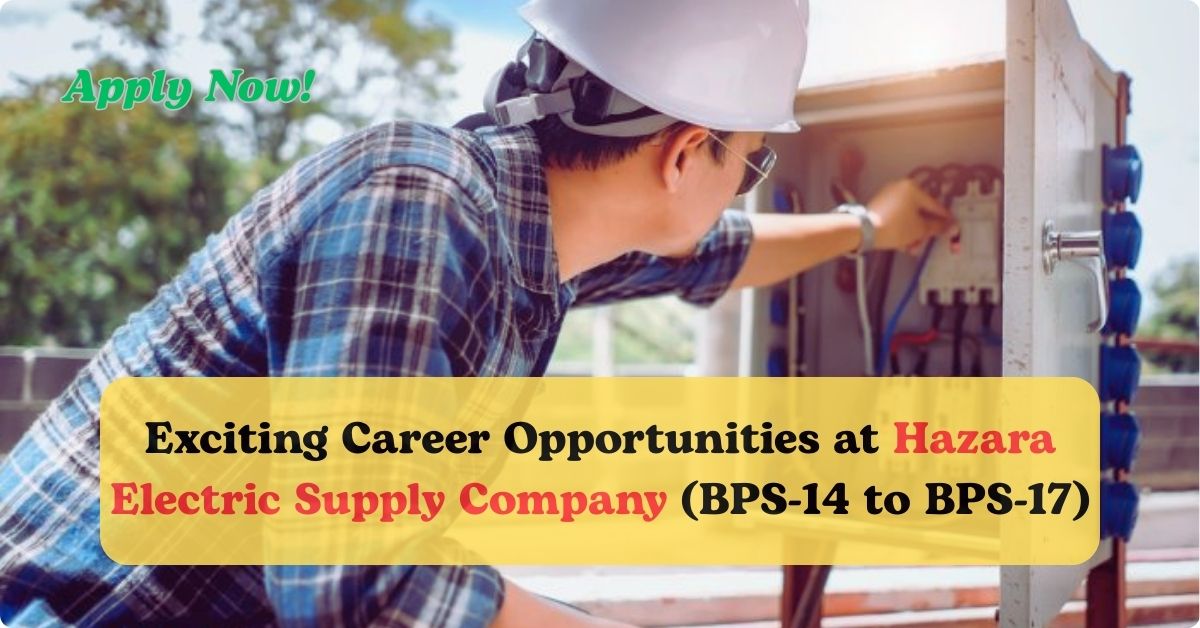 Electric Supply worker (HESCO)