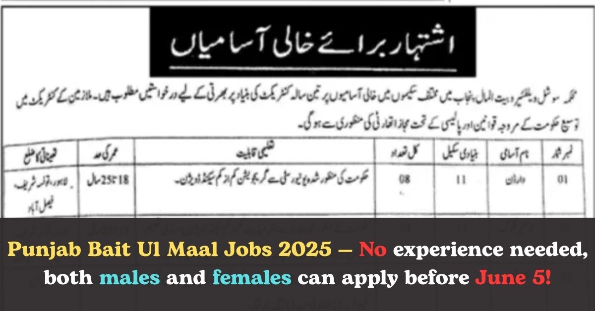 Bail ul Maal Job 2025
